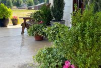 Vacation Watering Tips for Flower Pots and Container Gardens