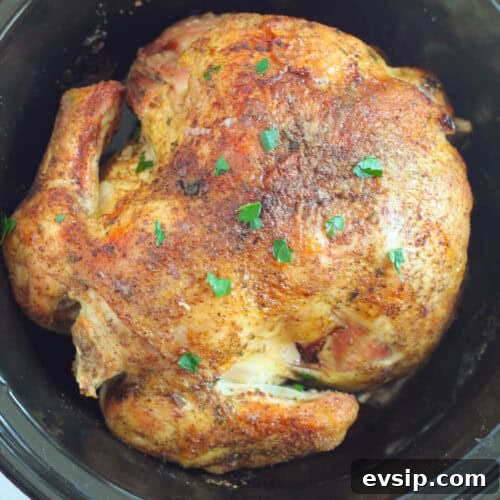 Crock Pot Roasted Chicken