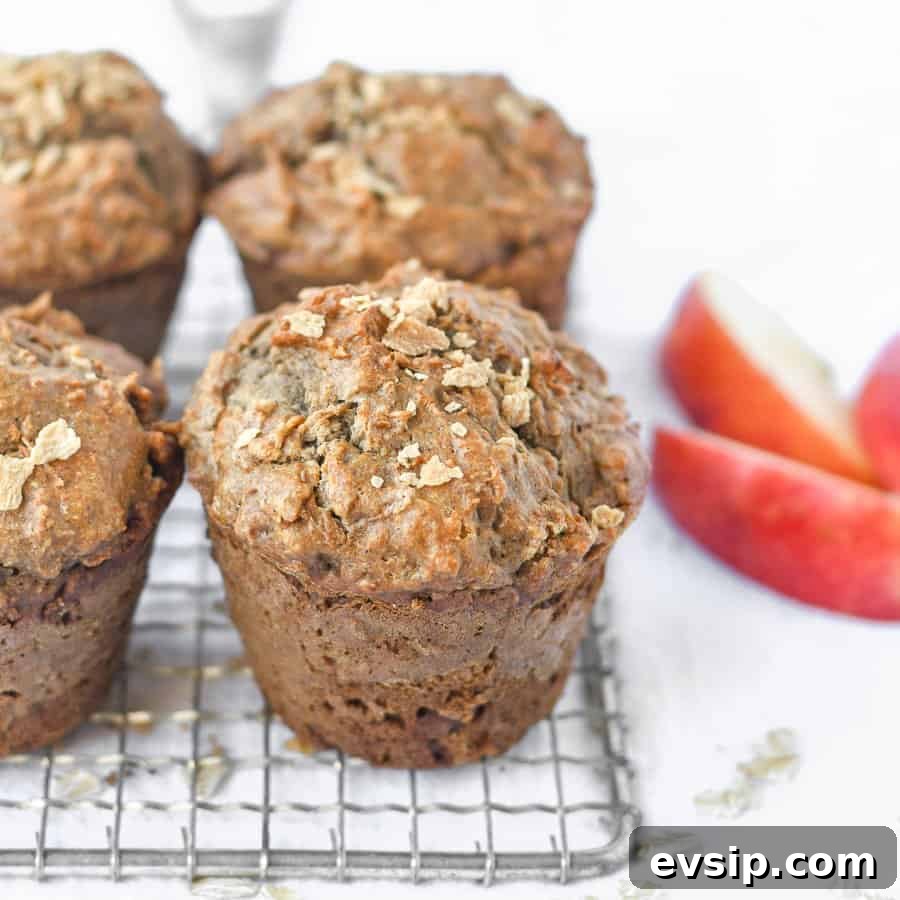 Paleo Apple Muffins | gluten-free, dairy-free breakfast or snack