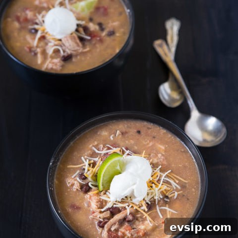 Slow cooker chicken enchilada soup