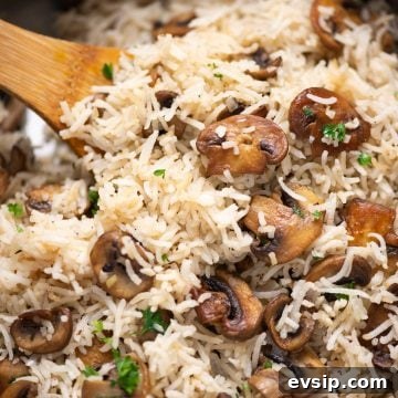 Close-up shot of Mushroom rice with brown sauteed bits of mushroom and garnished with parsley