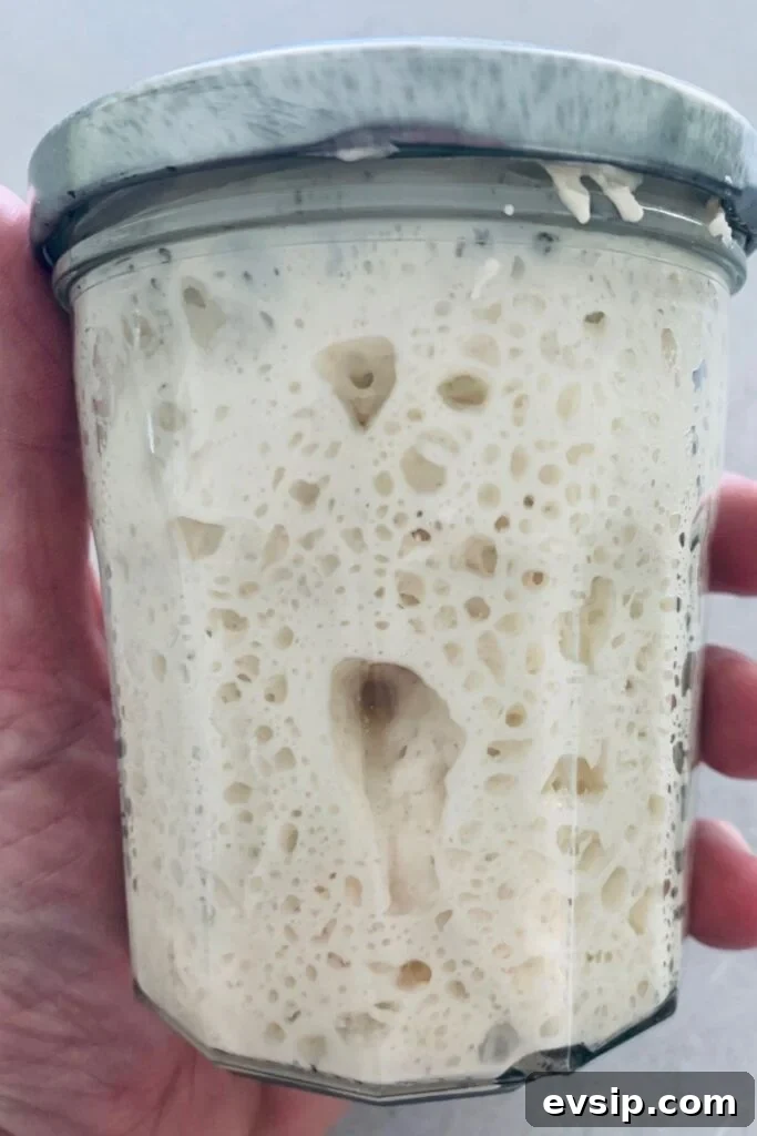 Boost Your Sourdough Starter: 5 Effective Strengthening Tips 4 Boost your sourdough starter by keeping it at a lower hydration - this photo shows a jar of sourdough starter being held in a hand. It has large, deep bubbles up against the glass of the jar.
