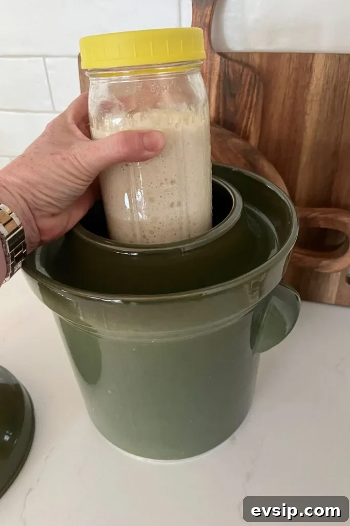 Boost Your Sourdough Starter: 5 Effective Strengthening Tips 5 img 1068 4