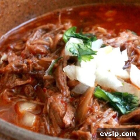 Image for Slow Cooker: Birria de Res, or Mexican Beef Stew 