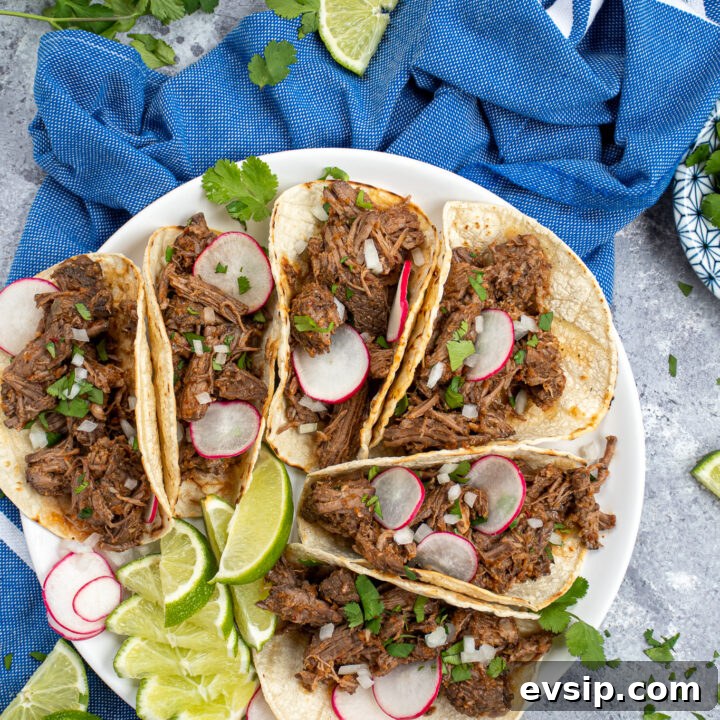 A tabletop with a blue towel, limes, cilantro, and a white plate with a bunch of tacos that are filled with crockpot beef barbacoa.