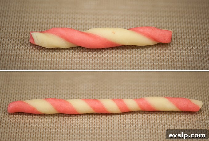 Peppermint candy cane twist cookie dough in a spiral