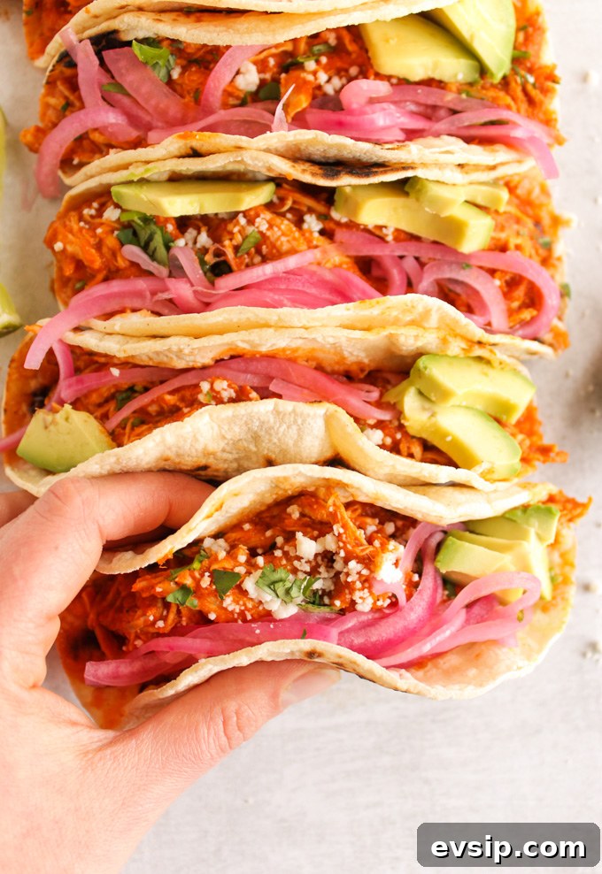 Chicken Tinga Tacos with cotija and cilantro