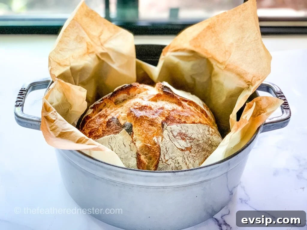 Create and Maintain a Sourdough Starter at Home 11 A dutch oven with a loaf of bread in parchment paper.