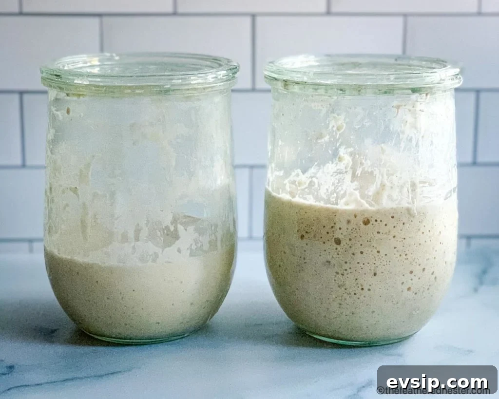 Create and Maintain a Sourdough Starter at Home 12 Two jars, side by side show how to feed a sourdough starter.