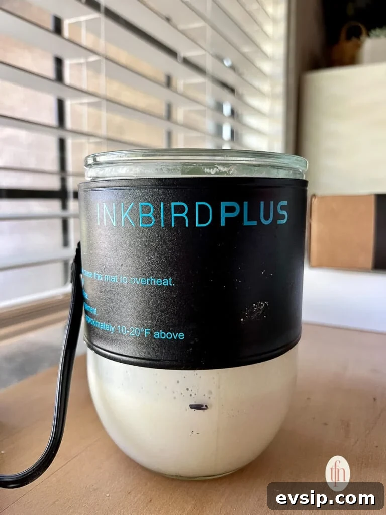 Create and Maintain a Sourdough Starter at Home 5 A weck jar of sourdough starter with a heated wrap on it to keep it the optimal temperature.