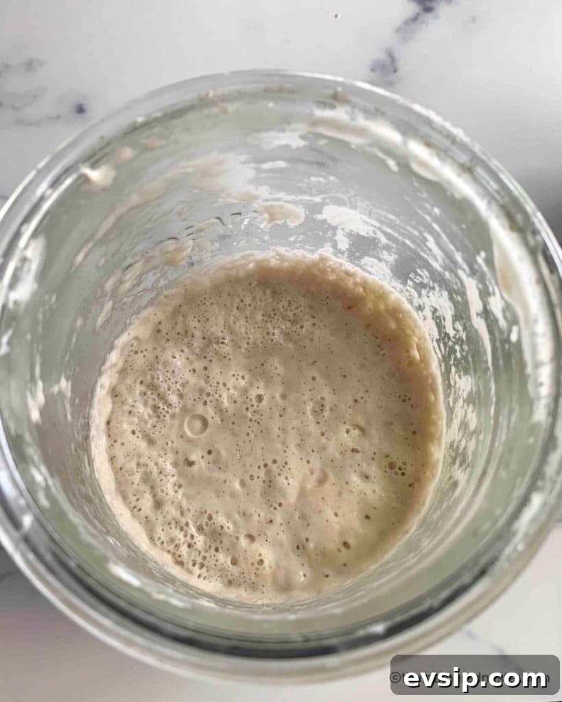 Create and Maintain a Sourdough Starter at Home 7 Weck glass jar of sourdough starter on day 3.