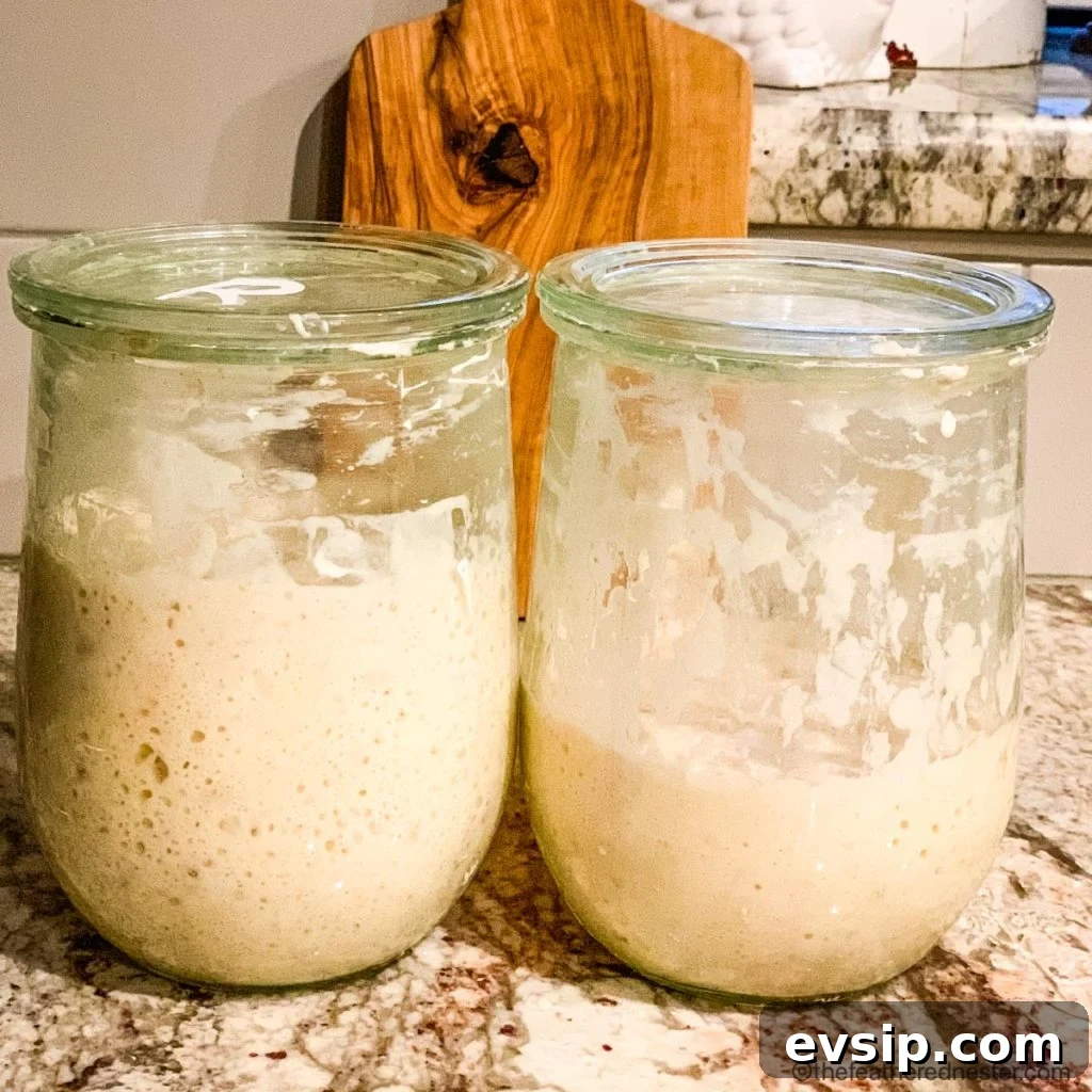 Create and Maintain a Sourdough Starter at Home 8 Two jars of fermented yeast.