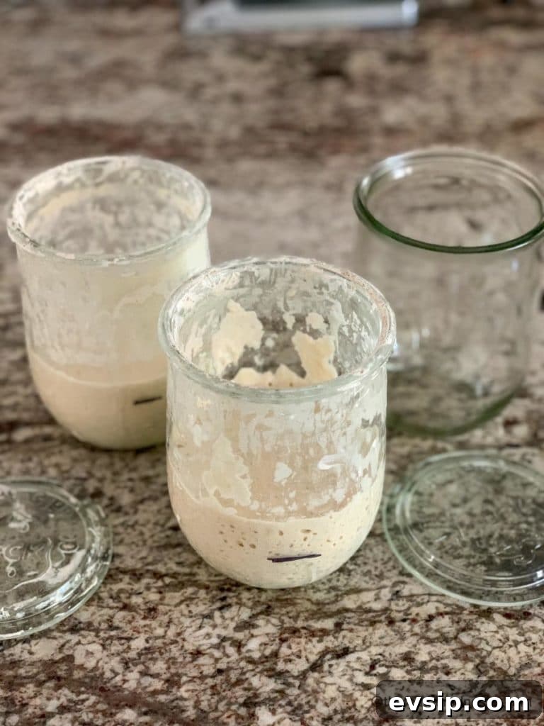 Create and Maintain a Sourdough Starter at Home 9 Jar of bubbly white flour and water.
