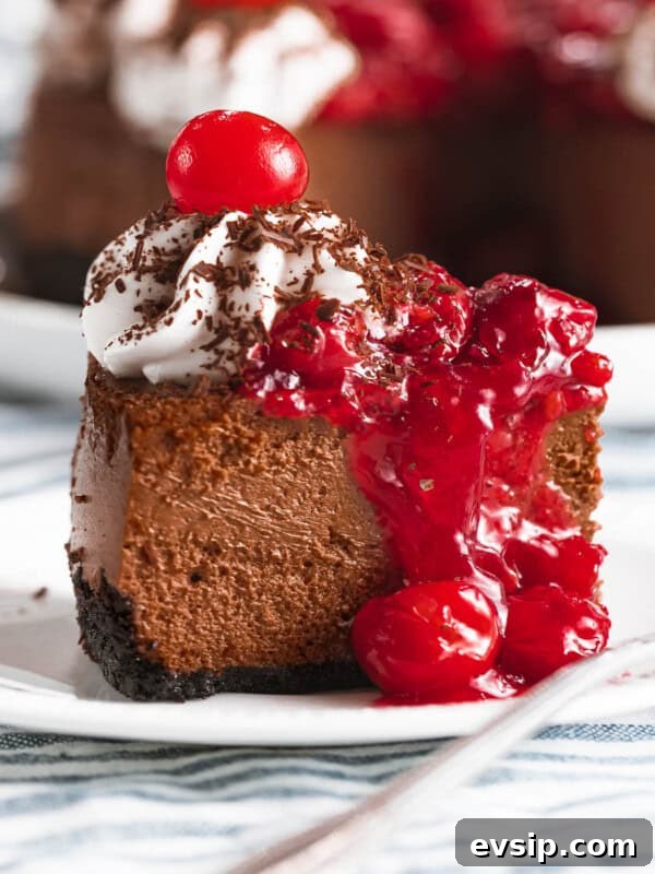 Silky Raspberry Cheesecake Recipe with Fresh Berry Glaze 15 Black forest cheesecake with cherry topping.