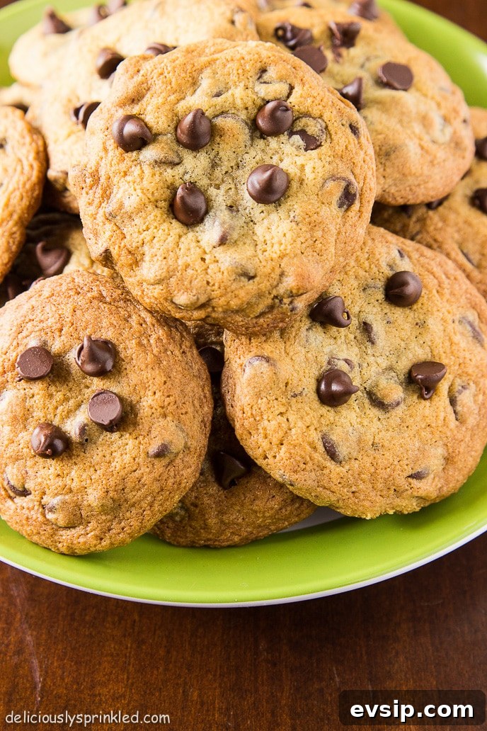 Classic Homemade Chocolate Chip Cookie Recipe You'll Love 11 homemade chocolate chip cookies plated