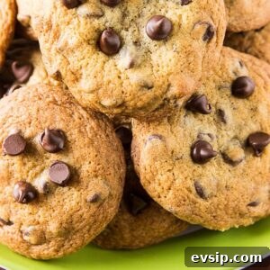 Classic Homemade Chocolate Chip Cookie Recipe You'll Love 13 The Best Chocolate Chip Cookies Recipe