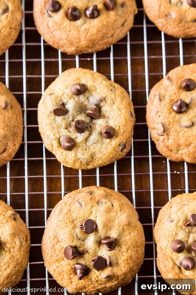 Classic Homemade Chocolate Chip Cookie Recipe You'll Love 3 homemade chocolate chip cookies on wire wrack
