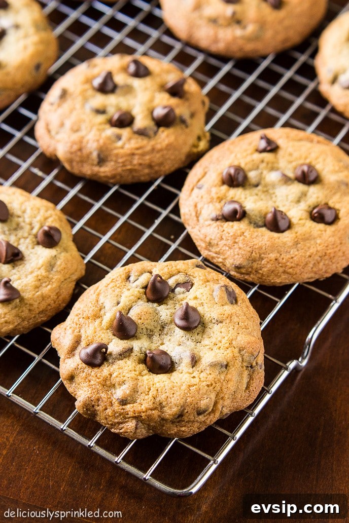 Classic Homemade Chocolate Chip Cookie Recipe You'll Love 7 homemade chocolate chip cookies on wire wrack
