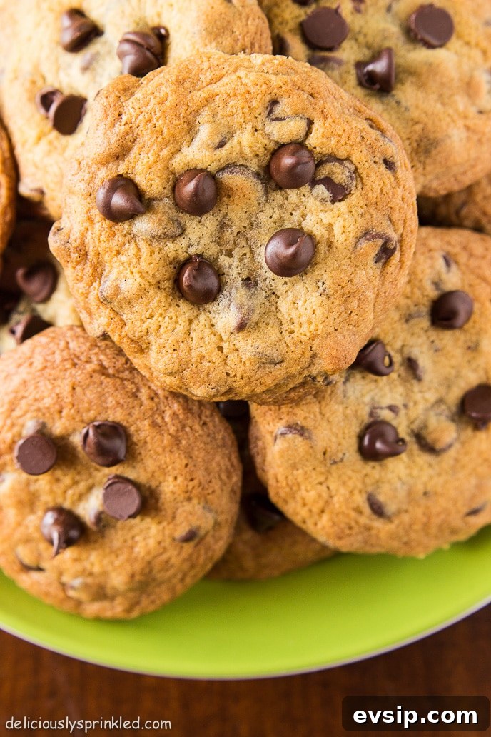 Classic Homemade Chocolate Chip Cookie Recipe You'll Love 8 homemade chocolate chip cookies plated