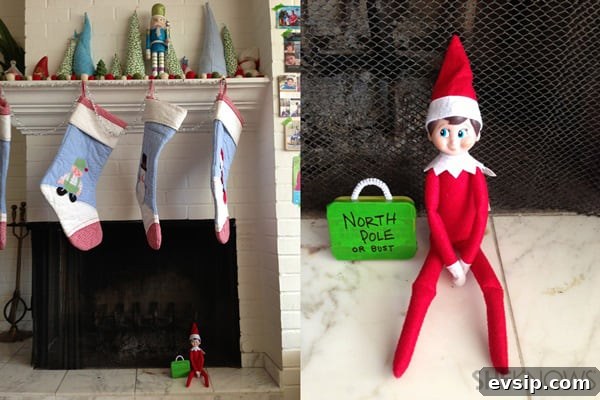 Elfie ideas