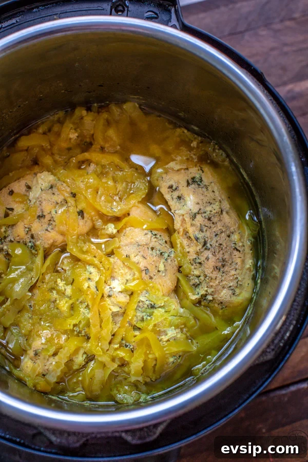 Instant Pot Mississippi-Style Crack Chicken Recipe 3 img 13253 2