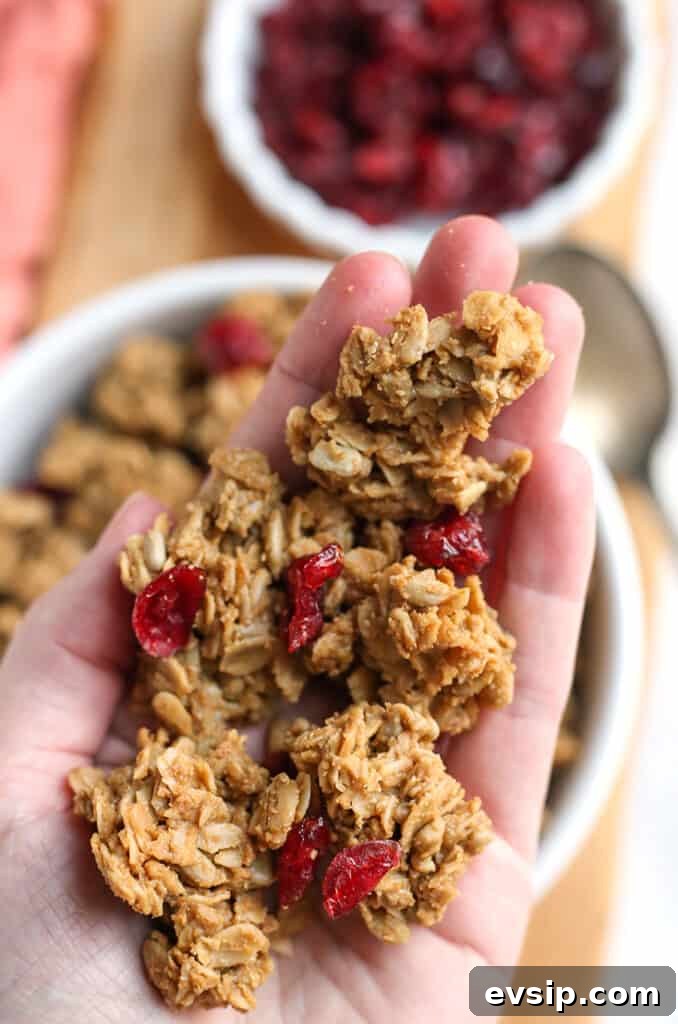 Big-Cluster Gluten-Free Granola: Crunchy, High-Protein Breakfast Mix 3 hand holding gluten free nut free granola
