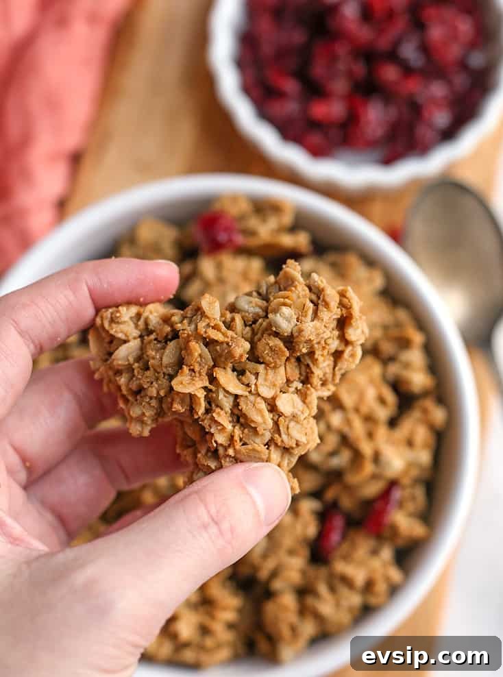 Big-Cluster Gluten-Free Granola: Crunchy, High-Protein Breakfast Mix 5 hand holding a gluten free granola cluster