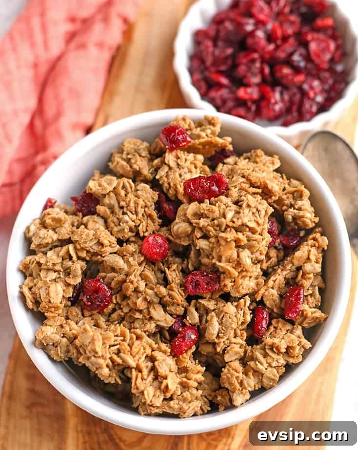 Big-Cluster Gluten-Free Granola: Crunchy, High-Protein Breakfast Mix 6 bowl of big cluster granola with cranberries