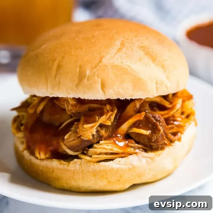 Pulled bbq chicken in a bun on a white plate.
