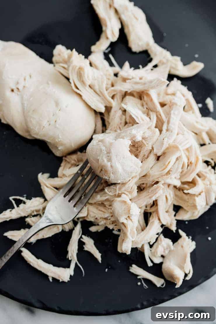 Authentic Green Enchiladas (Enchiladas Verdes) Recipe for Dinner 10 Shredding poached chicken breast with a metal fork on a dark plate.