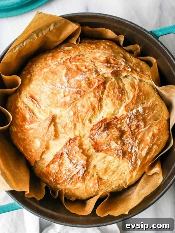 Classic Baked Ziti with Melty Cheese and Italian Sausage 12 Overhead view of a round loaf of artisan bread in a teal dutch oven.