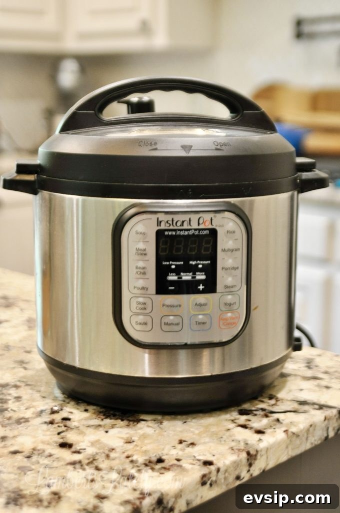 This post shows how to clean an Instant Pot with a simple vinegar and water solution (and even what you can and can't put in the dishwasher). See how to clean the lid, base, and inside easily.