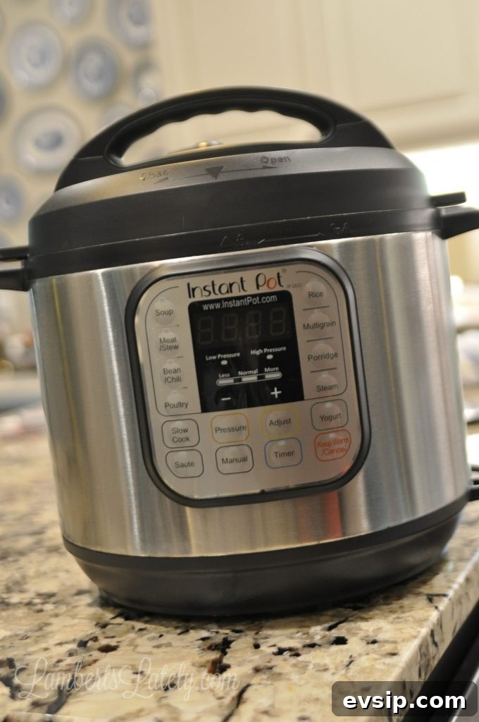 instant pot on a counter.