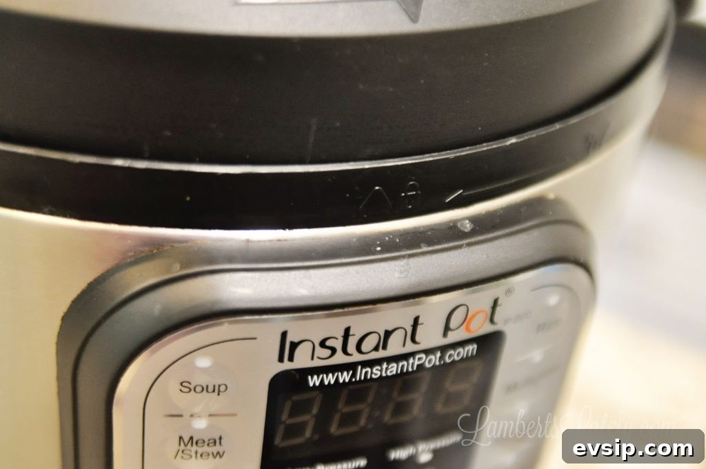 This post shows how to clean an Instant Pot with a simple vinegar and water solution (and even what you can and can't put in the dishwasher). See how to clean the lid, base, and inside easily.