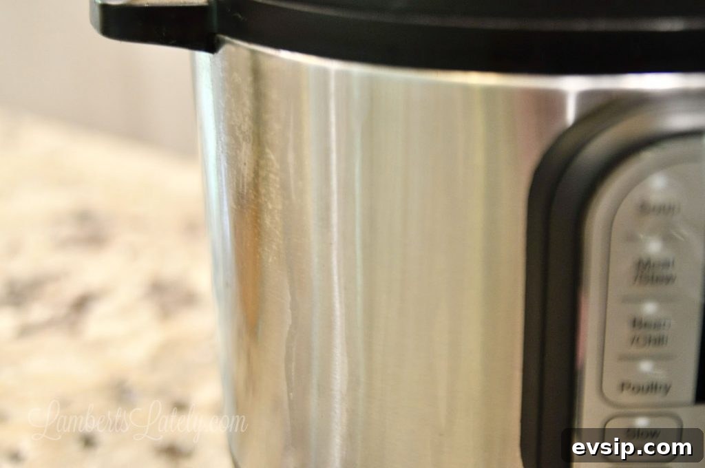 This post shows how to clean an Instant Pot with a simple vinegar and water solution (and even what you can and can't put in the dishwasher). See how to clean the lid, base, and inside easily.