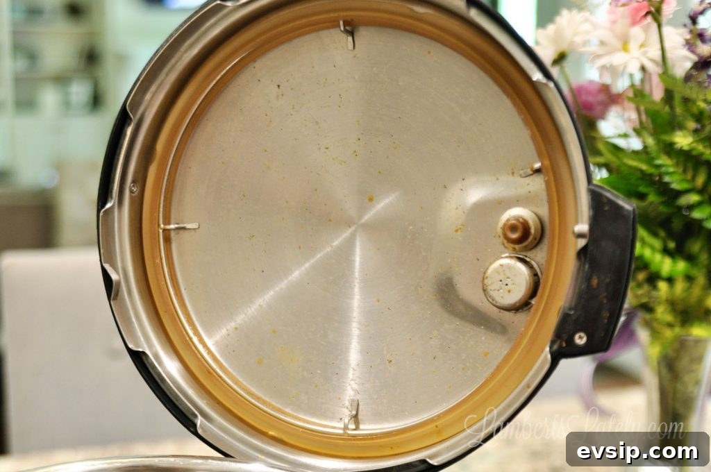 dirty lid of an instant pot.