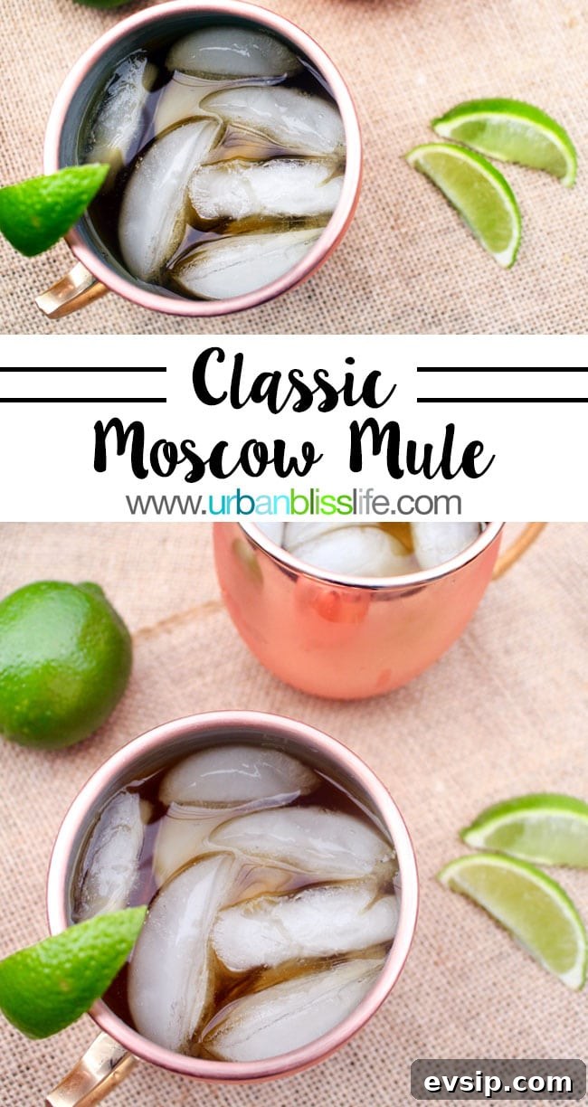 Classic Moscow Mule Cocktail Recipe: How to Make It Perfectly 6 Classic Moscow Mule recipe on UrbanBlissLife.com