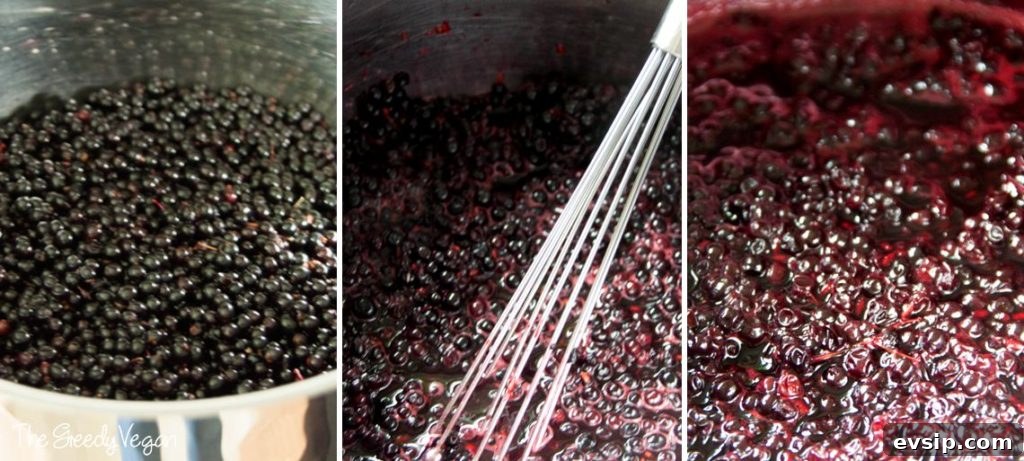 Homemade Elderberry Jelly Recipe: Simple Steps for Perfect Jellies 3 Vegan Bechamel Sauce 002