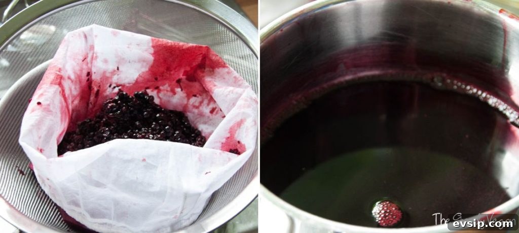 Homemade Elderberry Jelly Recipe: Simple Steps for Perfect Jellies 4 Vegan Bechamel Sauce 003