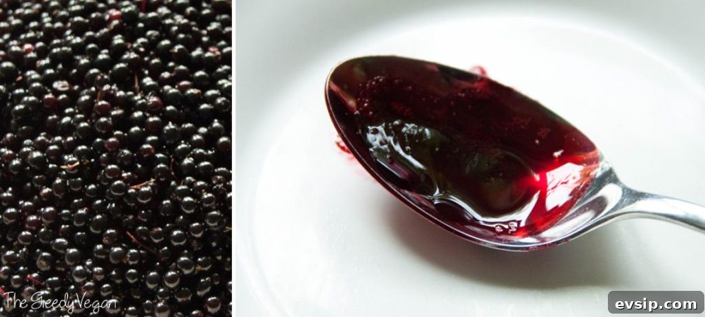Homemade Elderberry Jelly Recipe: Simple Steps for Perfect Jellies 5 elderberry jelly 001