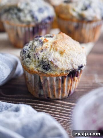 A blueberry muffin with pancake mix is surrounded by a blue napkin and more muffins in the background.