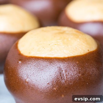 Classic Buckeye Candy Recipe: How to Make Peanut Butter Balls 2 Buckeye Recipe lined up on a baking sheet