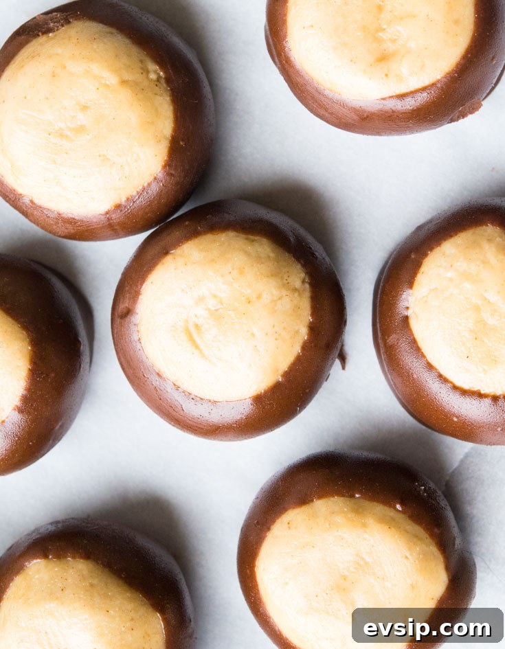 Our Classic Buckeye Recipe Is The Perfect Combination Candy, Creamy Peanut Butter And Luscious Chocolate. Homemade, Easy To Make, And Amazing! Buckeye Recipe lined up on a baking sheet, top shot