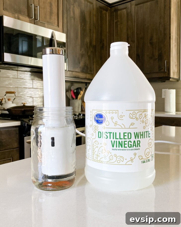 Breville Joule Immersion Circulator Sous Vide Review & Performance Guide 3 Joule Immersion Circulator in jar of vinegar for cleaning.