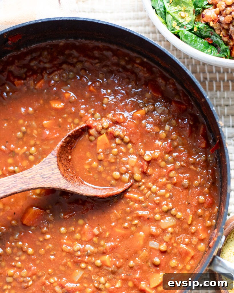 French Green Lentil Bolognese Recipe for Hearty Weeknight Meals 3 overhead view of a pot of French green lentil bolognese with a serving spoon in the middle.