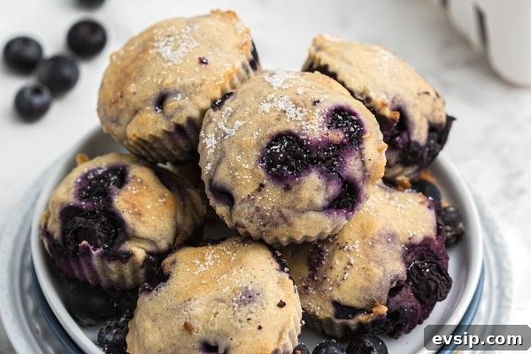 Moist blueberry muffin bites stacked on a white plate, sprinkled with sugar and fresh blueberries on the table behind it. 
