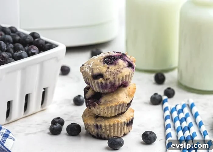 Stack of three muffin with fresh blueberries and milk, in front of the air fryer. 