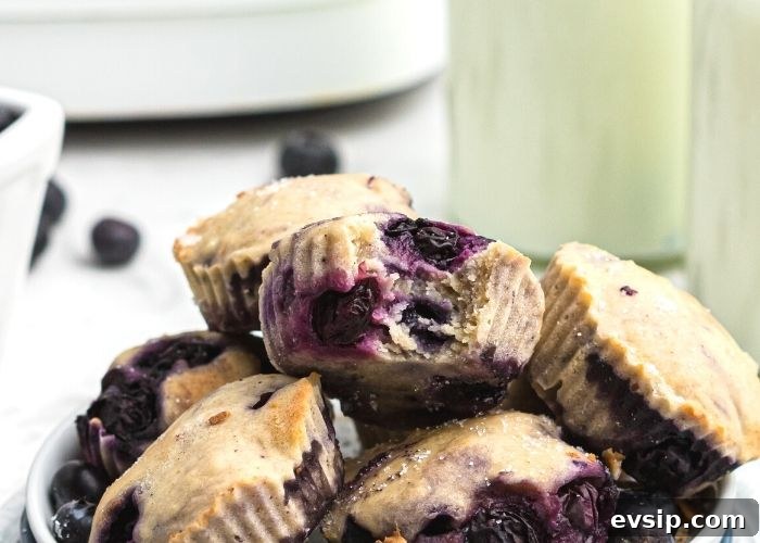 Mini muffins stacked with a bite taken. Milk and fresh blueberries on the table. 