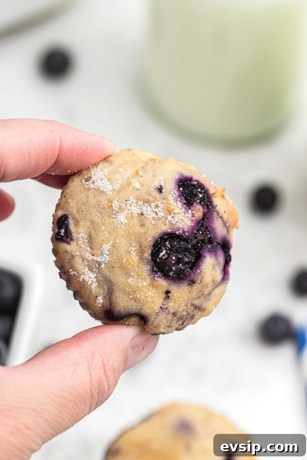 Mini muffin bite being held- close up photo. 