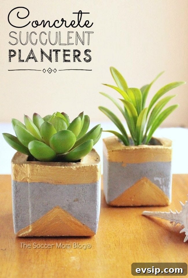 How to make chic gold and concrete succulent planters to bring a touch of green to your home.